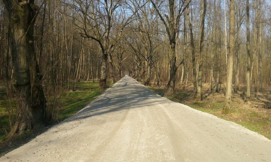 2015-03-24 09.59.22.jpg